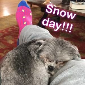 Meet your Posher, Timothy